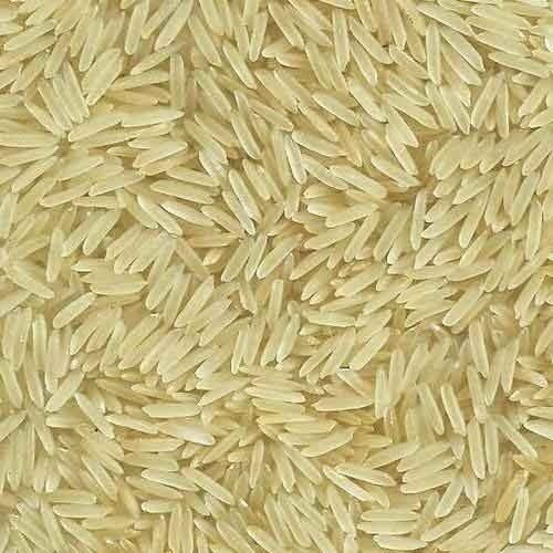 Indian Origin High Nutrients and Rich Taste Sambha Masoori Steam Rice