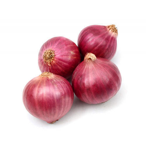 Full Of Sulfur Compounds And Fat Strong Taste Fresh Red Onion