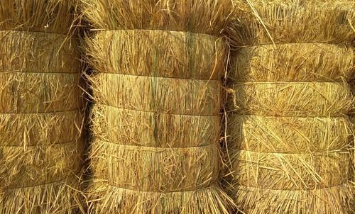 Bulk Supply 100% Organic Dry Grass Bundle Pack