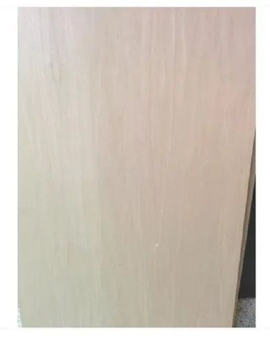 Rectangular And Square Shape Glossy Finish Oak Veneer Sheet For Furniture And Paneling