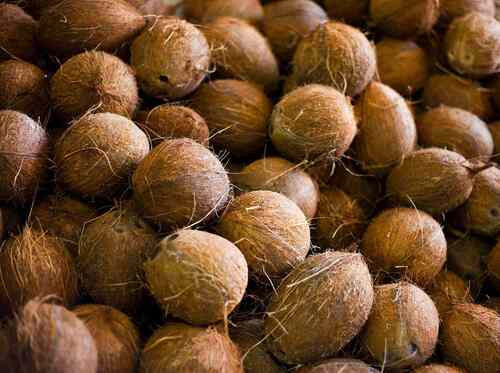 Light Brown Natural Flavour Fresh Husked Coconut For Cosmetics Medicines And Pooja