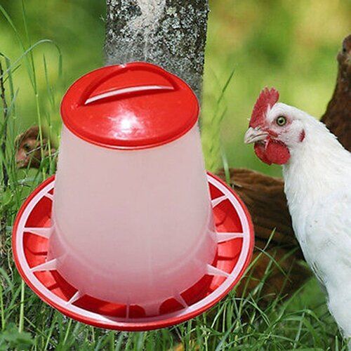  Plastic Chicken