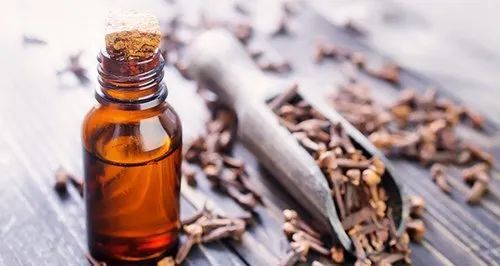 Clove Essential Oil