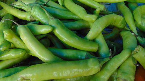 Indian Origin Natural Spicy Taste A Grade G4 Green Chilly For Cooking