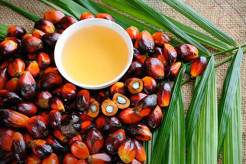 Palm Oil With 1 Liter Packaging Size And 6 Months Shelf Life, Low Cholesterol