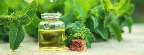 Peppermint Oil