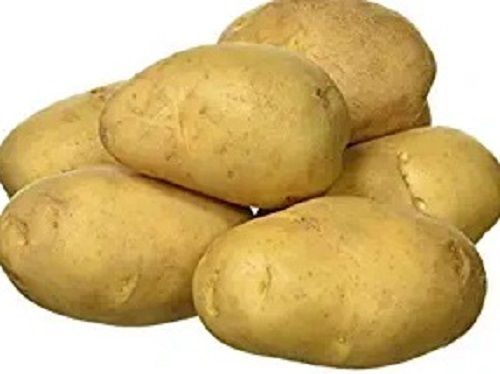 Round Pure And Raw Naturally Gluten-Free Fresh Potato With 63% Moisture