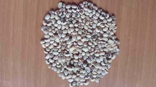 Soybean Seeds With 12 Months Shelf Life, High Protein