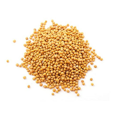 Common Commonly Cultivated Pure And Dried Raw Round Yellow Mustard Seed