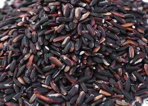 98.9% Pure Commonly Cultivated Dried Medium Grain Rice Black Rice