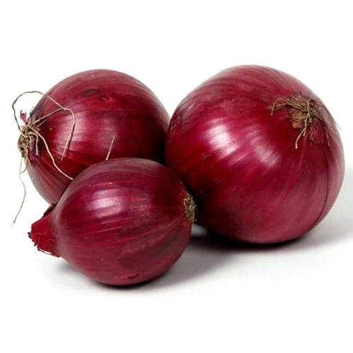 Dried & Fresh Onion With Red Color and 5 Days Shelf Life, Anti-Inflammatory Properties