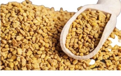 Yellow Natural Dried Fenugreek Seeds For Maintaining Healthy Sugar Levels 320