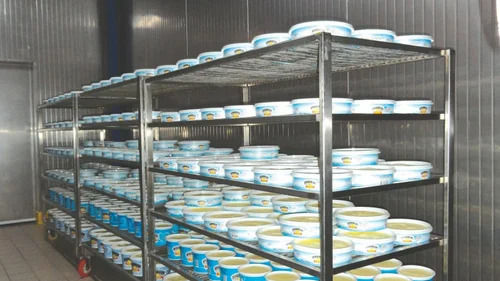 Grey Curd Incubation Room