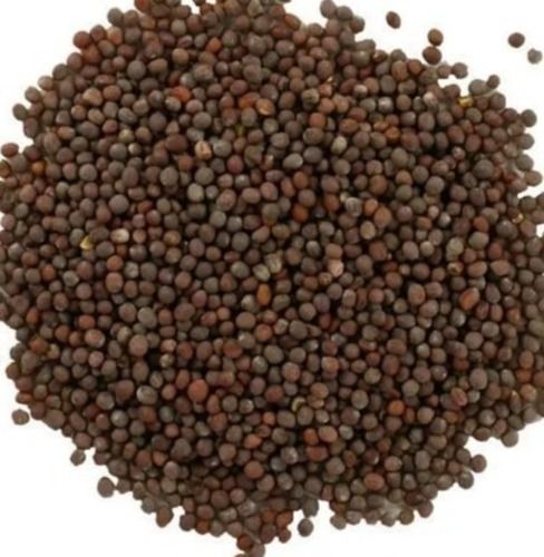 Pure And Dried Agriculture Grade Common Cultivated Edible Mustard Seeds