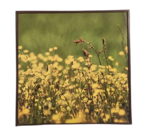 Yellow And Green 20X20 Inches Light Weight Wall Hanging Digital Print Canvas Art Painting