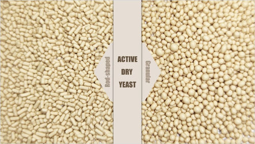 500g Active Dry Yeast with 24 Months of Shelf Life