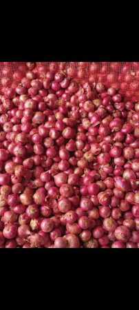 Pesticide Free and No Artificial Flavour 100% Pure Fresh Red Onion