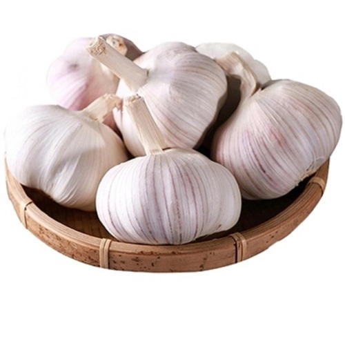 5.5Cm Fresh White Garlic - Shape: Round