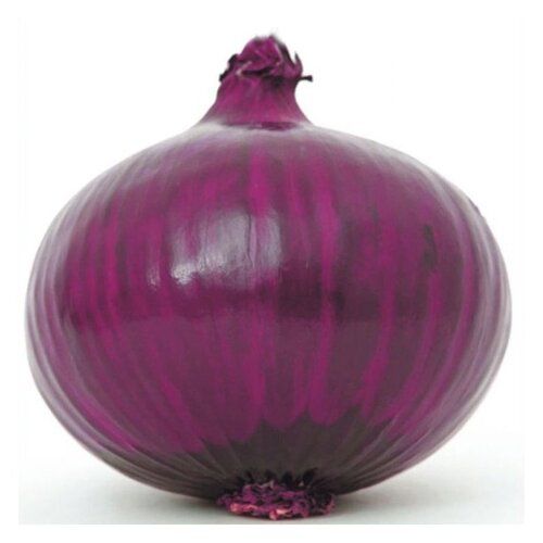 Export Quality 40 To 70 Mm Size 100% Fresh And Organic Fresh Red Onion 