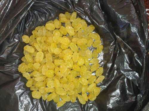 Organic Golden Raisins Premium Aaa N