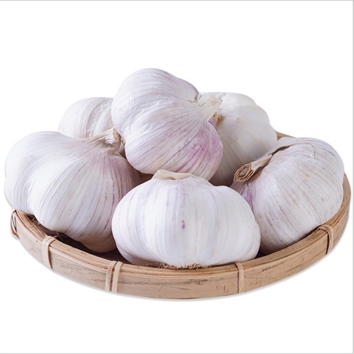 Organic Crop White Fresh Garlic - Shelf Life: Can Be Stored For Up To 9 Months Under Proper Conditions Months