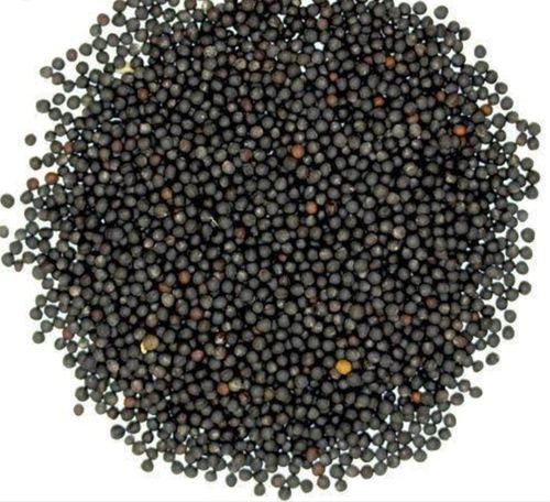 Black Mustard Seeds, Packaging Size 1 Kg