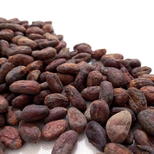 Export Quality Whole Dark Brown Sun Dried Raw Cocoa Coffee Beans