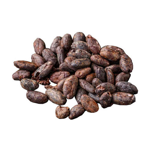 Export Quality Wholesale Whole Dried Raw Fermented Cocoa Beans