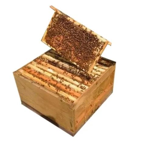 Old Traditions Easy To Handle Cuboid Mellifera Bees Beehive Box For Apiculture Use