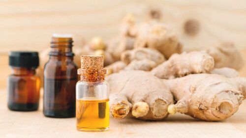 98% Pure Natural Ginger Oil With 6 Months Shelf Life