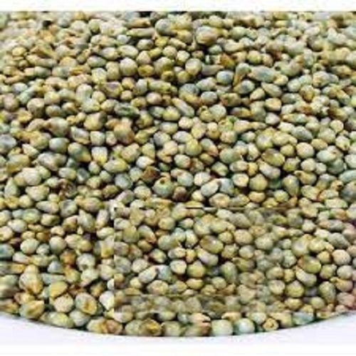 Free From Impurities Chemical Free Green Pearl Millet