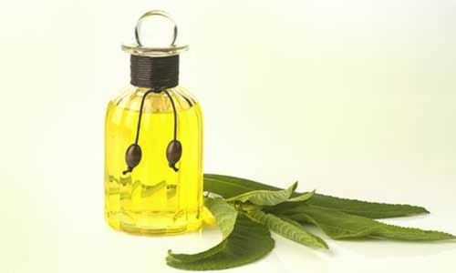 Herbal Bhringraj Essential Oil, 1 Year Shelf Life