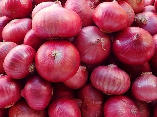 Naturally Grown Farm Fresh Raw Round Shape Red Onions