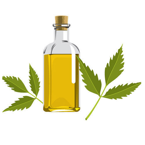 Neem Essential Oil For Medicinal Usage, 1 Year Shelf Life
