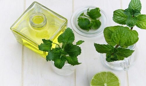 Steam Disttilation Liquid Peppermint Oil For Cosmetic