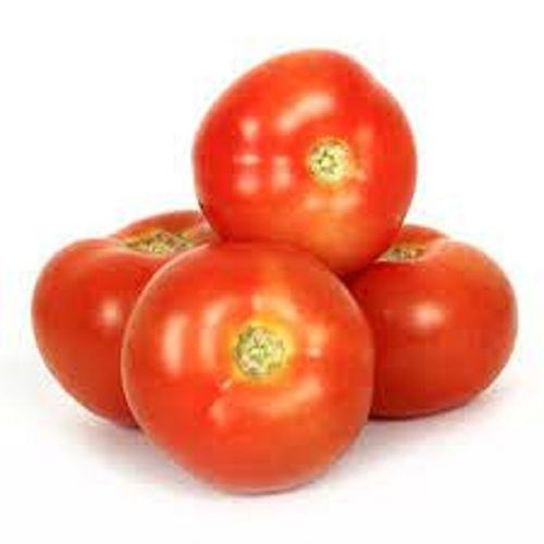 Fresh Raw Red Round Shape Tomato