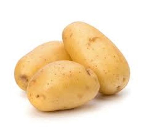 Oval Shape Light Brown Fresh Potato  Shelf Life: 5 Days