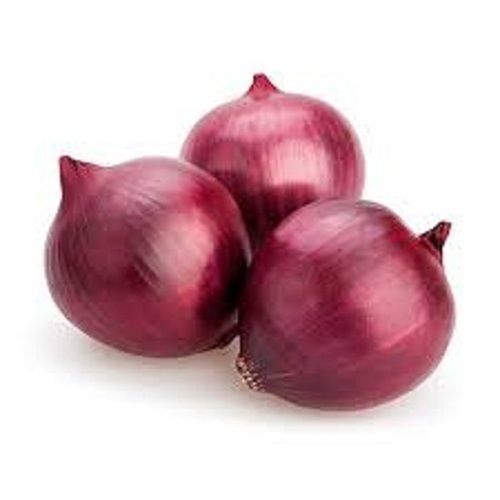 Round Shape Fresh Brown Peeled Onions