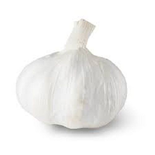 White Ridged Shape Raw Fresh Garlic