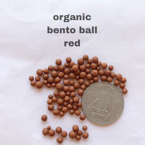 High In Protein Organic Red Bento Ball Without Artificial Flavour