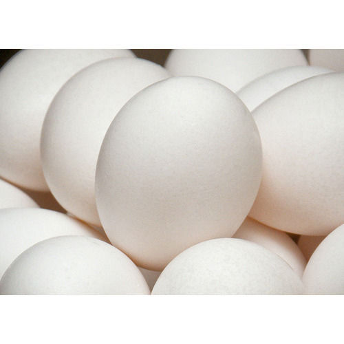 Broiler Chicken Fresh Oval Shape White Poultry Egg