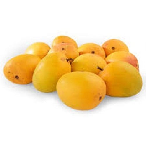 Indian Origin Fresh Sweet Alphonso Mango 