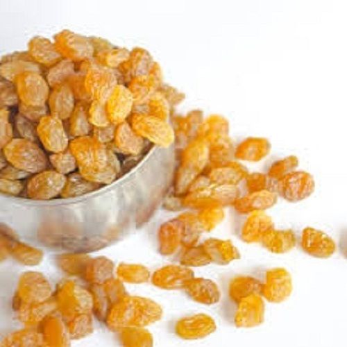 A Grade Common Sweet Yellow Dry Grapes