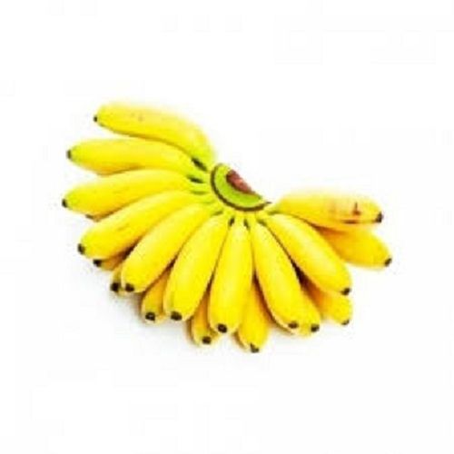 Sweet Taste Healthy Long Shape Yellow Bananas