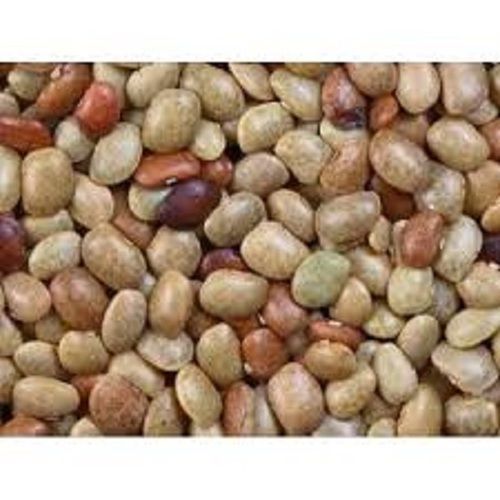 100 Percent Pure Medium Size Common Cultivated Solid Dried Horse Gram