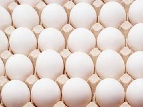 Chicken Origin Medium Size White Fresh Eggs