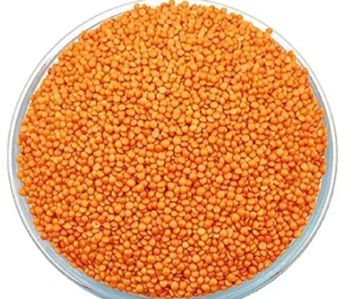 100% Fresh And Organic Masoor Dal With 12 Months Shelf Life, Rich In Protein