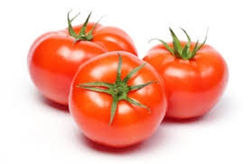 Moisture Rich Medium Size Round Shape Ripen Red Fresh Tomatoes