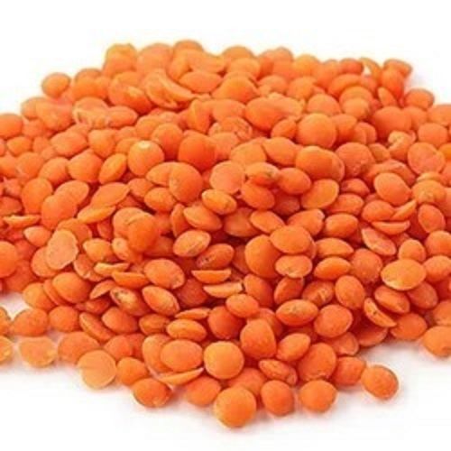 Pure Dried Round Shape Healthy Common Whole Masoor Dal Or Lentils