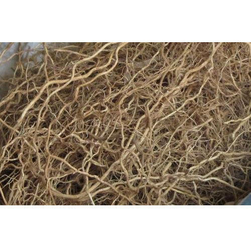  Vetiver Root 